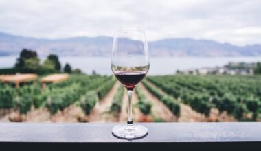Mi a sommelier munkája?