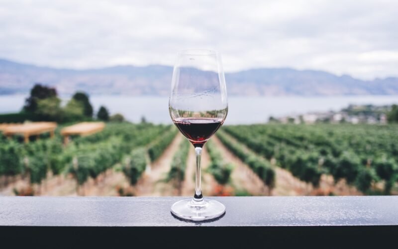 Mi a sommelier munkája?
